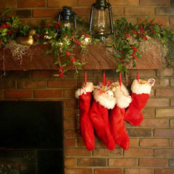 stockings